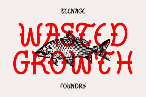 Wasted Growth Font: A Web Designer’s Layout Review